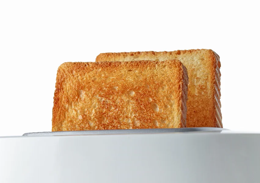 toasted bread slices