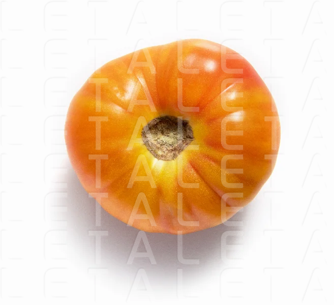 fresh pineapple tomato