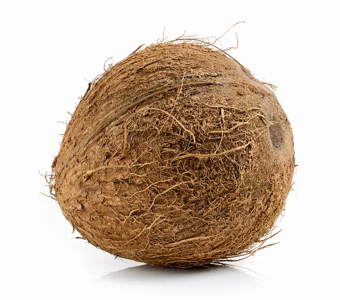 fresh ripe whole coconut fruit