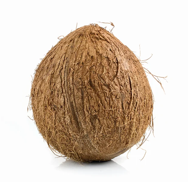 fresh ripe whole coconut fruit