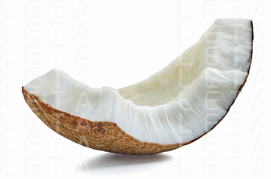 piece of coconut
