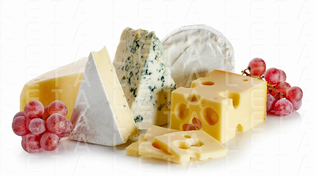 composition of different cheeses