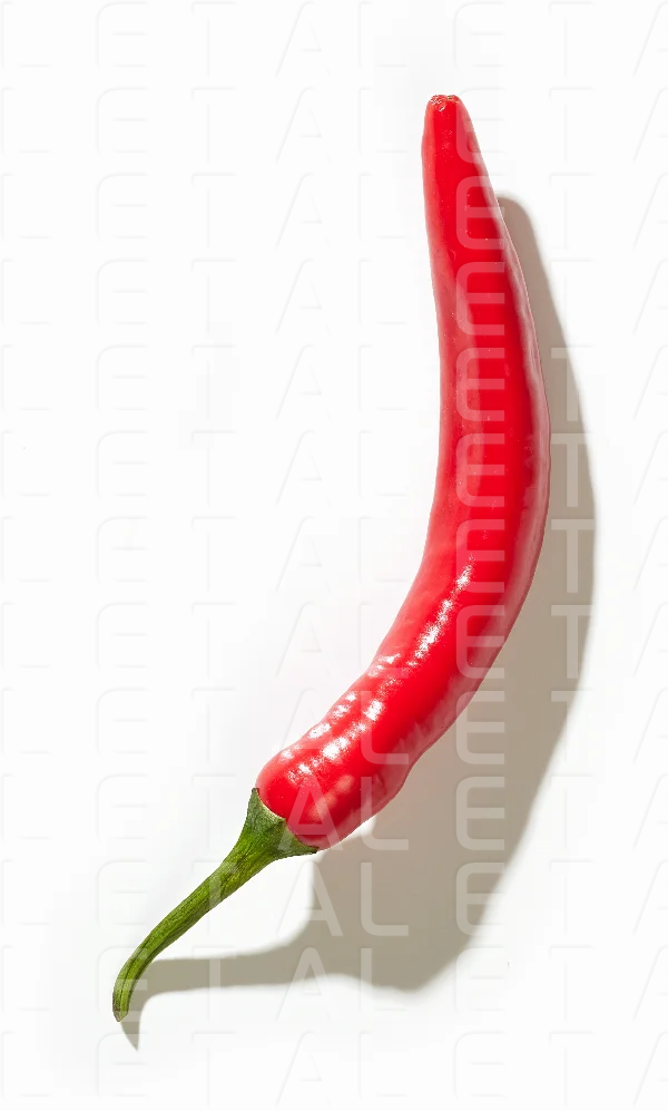 red hot chili pepper