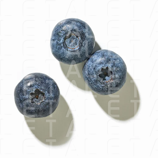 fresh blueberries isolated